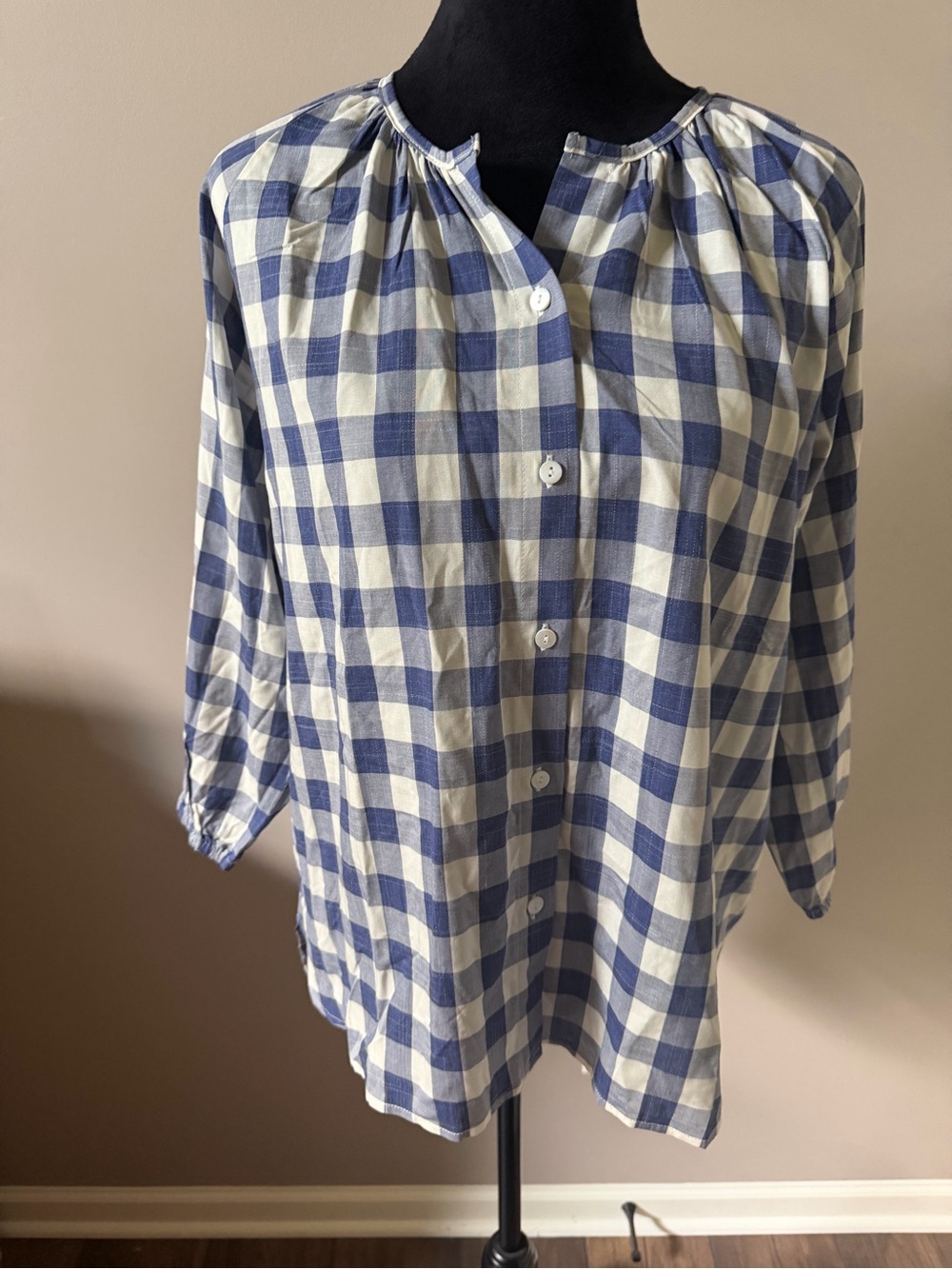 Blue and White Gingham Button-Front Blouse by Runs Big